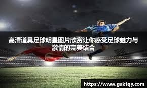 国羽双打组合表现稳定