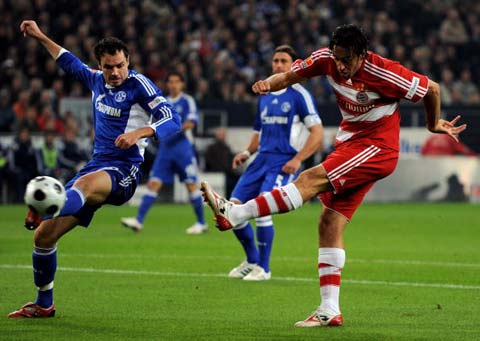 您了解哪些 您了解哪些